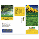 Order custom designed brochures with your company logo and information