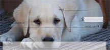 dog checks