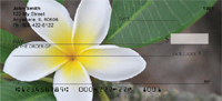 Plumeria Personal Checks